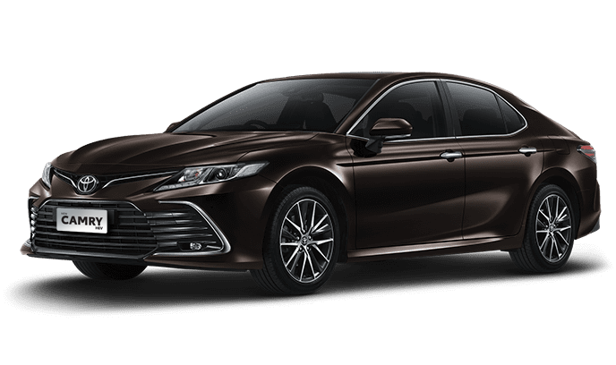 Graphite Metallic