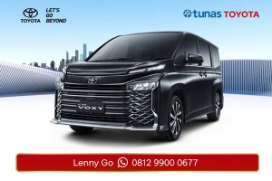 All New Voxy