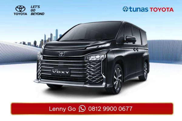 All New Voxy